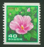 1981/ ���� ���� ����ȭ 40��