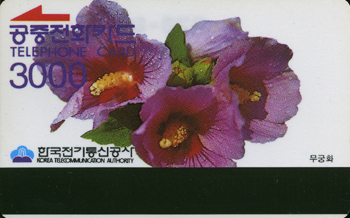 009A-0000xxxx-3-����ȭ-�ڻ�