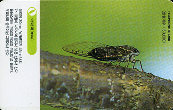 IO069-IO0207022-�ָŹ�(�Ź̰�)