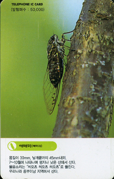 IO069-IO0207022-�ָŹ�(�Ź̰�)