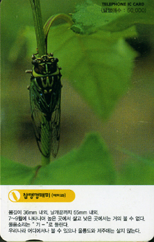 IO070-IO0207023-�������Ź�(�Ź̰�)