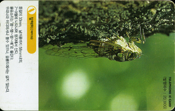 IO071-IO0207024-���Ź�(�Ź̰�)