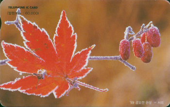 IO083-IO0212036-99 ������ ����-����