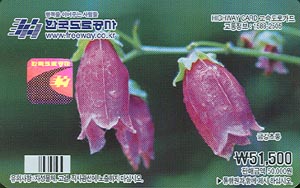 ���ӵ���ī��/ �ݰ��ʷ�