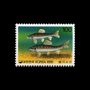 1991/ ����ø��� ��6�� 4��