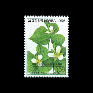 1996/ �߻�ȭ�ø��� ��7�� 4��