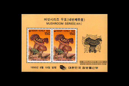 1996/ �����ø��� ��4�� 4�� S/S