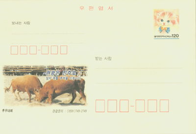 1996/���� ��ȸ