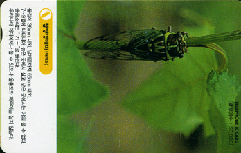 IO070-IO0207023-�������Ź�(�Ź̰�)