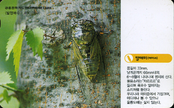 441-MO0207061-���Ź�