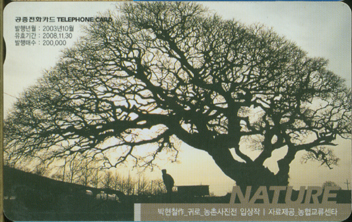 556-MO0310087-3-����ö��-�ͷ�