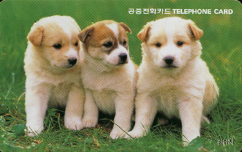 242-MO9807127-0K-������(VF-��ǰ)