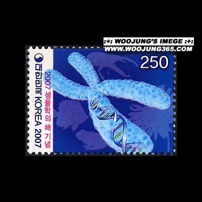 2007/ 2007 �������� ��