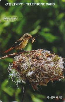 175-MO9701102-3K-����(�����/EF/�ع�ǰ)