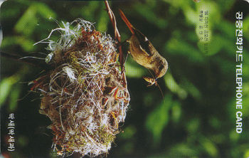 175-MO9701102-3ǥ��W-����(�����/EF/�ع�ǰ)