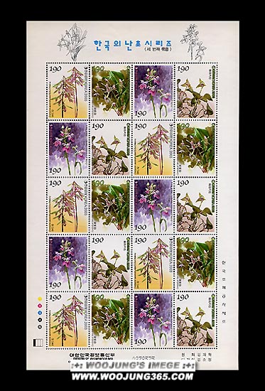 2003/ �ѱ��� ���� �ø��� ��3�� ����