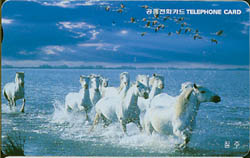 MC01D00008-2-��-����(�����-F-����)