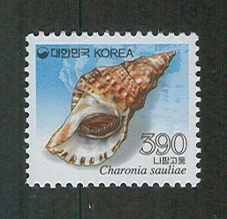 2013/ ���� ���Ȱ��� 390��