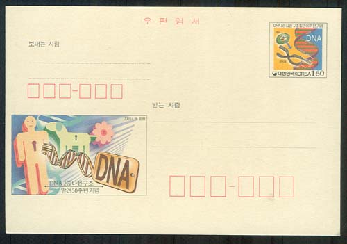 CPC0135/160��/ DNA2�� ���������߰� 50�ֳ� VF