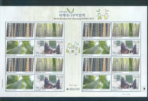 2015/ 2015 ��缼��볪���ڶ�ȸ ���� ������ǥ