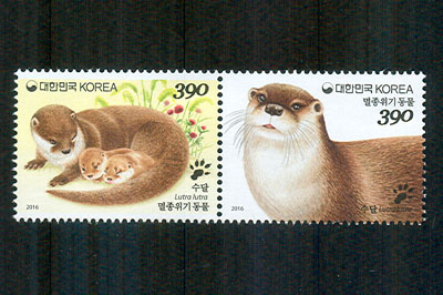 2016/ �������� ����(����) 2������