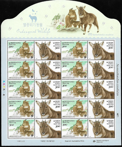 2017/ �������� ����(���) ����