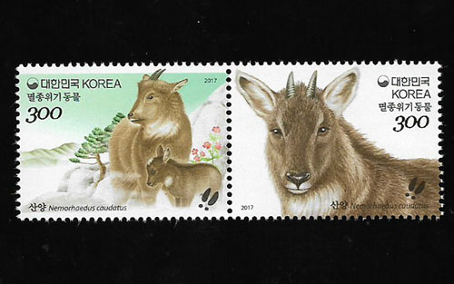 2017/ �������� ����(���) 2������