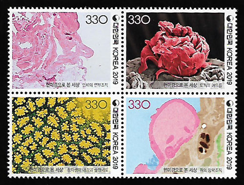 2019/ ���̰����� �� ���� 4������