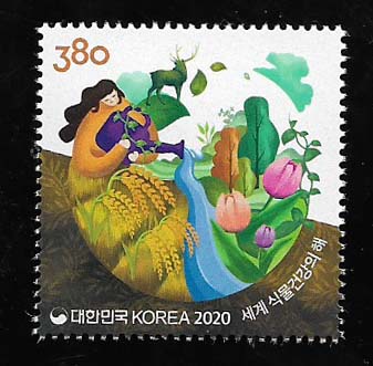 2020/ ���� �Ĺ��ǰ��� ��