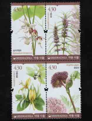 2021/ ��� �Ĺ� 4������