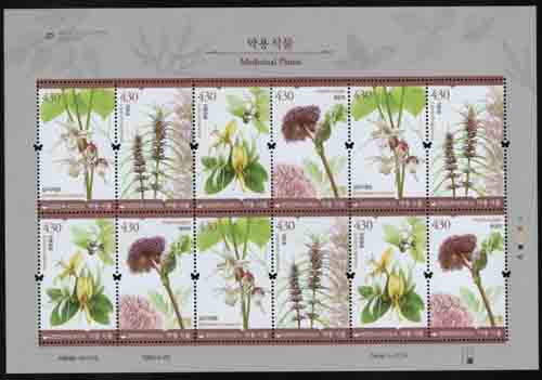 2021/ ��� �Ĺ� ����