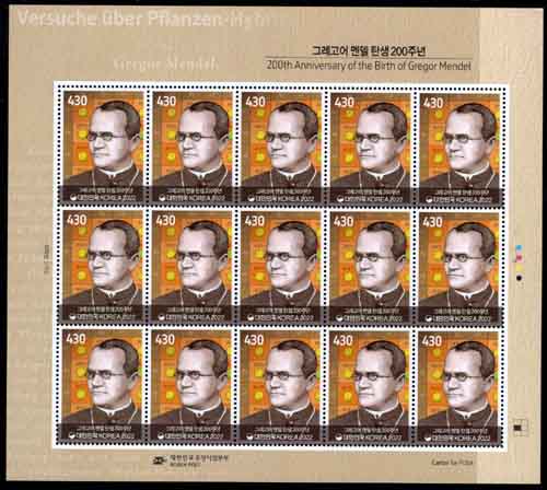 2022/ 7.20 �׷����� �൨ ź�� 200�ֳ� 15�屸�� ���� VF