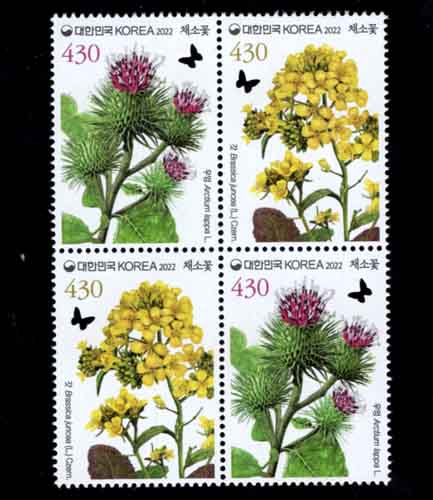 2022/ 11.11 ä�Ҳ� 2������