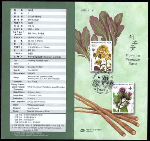 2022/ 11.11 ä�Ҳ� �ȳ���