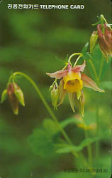 219-MO9801104-0J-�Ź����(VF-��ǰ)