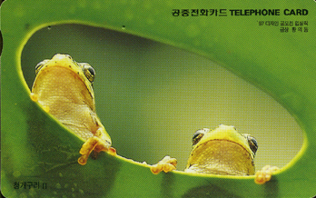 231-MO9804116-0J-û������ ��(VF-��ǰ)