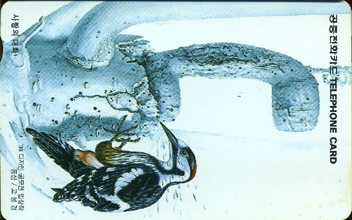 262-MO9901103-5K-����� ��ȭ(VF-��ǰ)