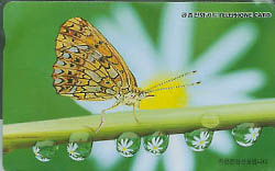 298-MO9910139-2-���� ������ ǥ������-J