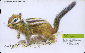 363-MO0107113-2-�ٶ���