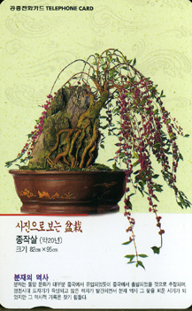 365-MO0106115-3-�������� ���� ���� ���ۻ�