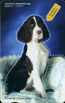 381-MO0201001-��ũ����Ͽ�