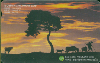 520-MO0306051-3-������ ���