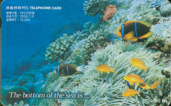 528-MO0306059-0-�ٴټ�ǳ��1