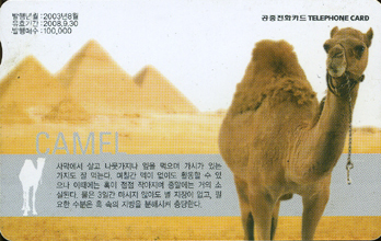 542-MO0308073-3-��Ÿ