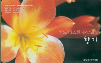 610-MO0405039-������ ���3