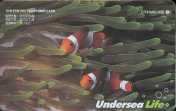 620-MO0406049-�ٴټ��� ���� 3