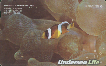 621-MO0406050-�ٴټ��� ���� 4