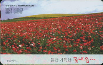 626-MO0407055-���� ������ �ɳ���(�ɹ翡��)