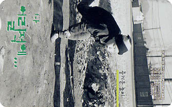 655-MO0411084-��ſ� ����