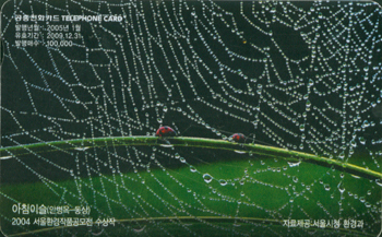 674-MO0501005-��ħ�̽�